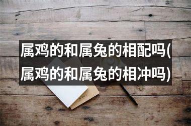 属鸡的和属兔的相配吗(属鸡的和属兔的相冲吗)