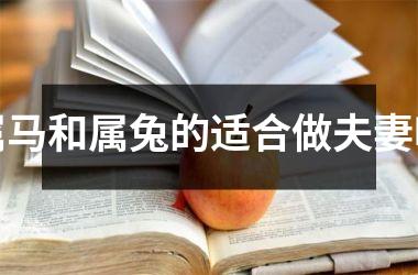 属马和属兔的适合做夫妻吗
