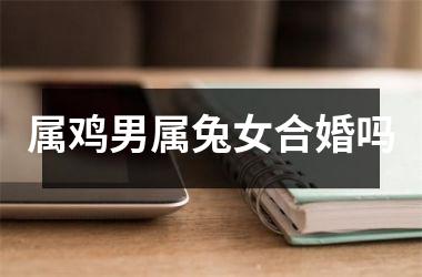 属鸡男属兔女合婚吗
