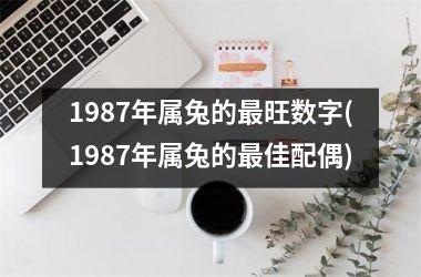 1987年属兔的旺数字(1987年属兔的佳配偶)