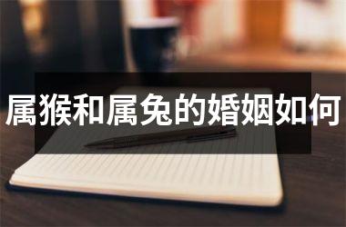 属猴和属兔的婚姻如何