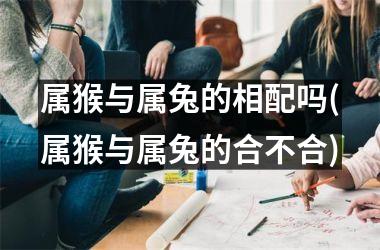 属猴与属兔的相配吗(属猴与属兔的合不合)