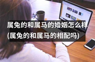 属兔的和属马的婚姻怎么样(属兔的和属马的相配吗)