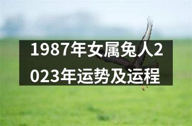 1987年女属兔人2025年运势及运程