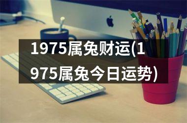 1975属兔财运(1975属兔今日运势)