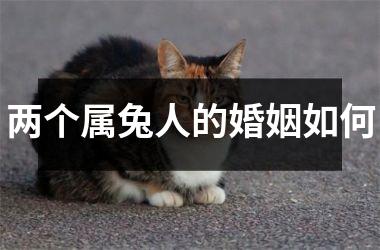 两个属兔人的婚姻如何