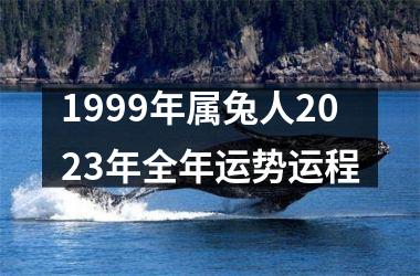 1999年属兔人2025年全年运势运程