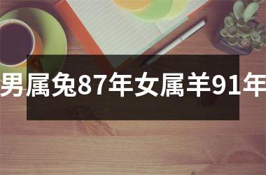 男属兔87年女属羊91年