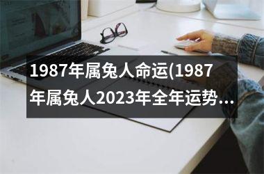 1987年属兔人命运(1987年属兔人2025年全年运势)