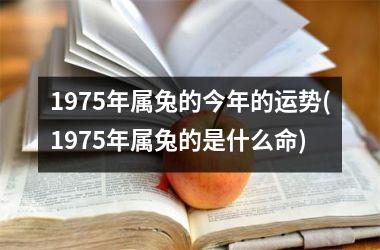 1975年属兔的今年的运势(1975年属兔的是什么命)