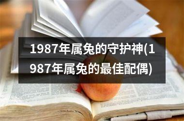 1987年属兔的守护神(1987年属兔的最佳配偶)