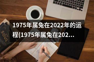 1975年属兔在2025年的运程(1975年属兔在2025年本命年的运势)