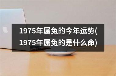 1975年属兔的今年运势(1975年属兔的是什么命)