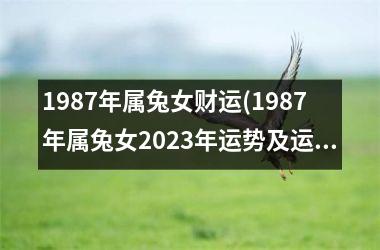 <h3>1987年属兔女财运(1987年属兔女2025年运势及运程每月运程)