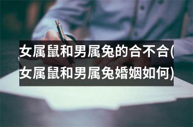 女属鼠和男属兔的合不合(女属鼠和男属兔婚姻如何)