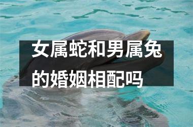 女属蛇和男属兔的婚姻相配吗