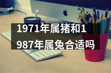 1971年属猪和1987年属兔合适吗