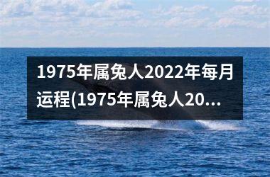 1975年属兔人2025年每月运程(1975年属兔人2025年运势及运程)