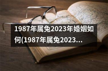 <h3>1987年属兔2025年婚姻如何(1987年属兔2025年婚姻)