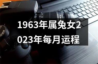 1963年属兔女2025年每月运程