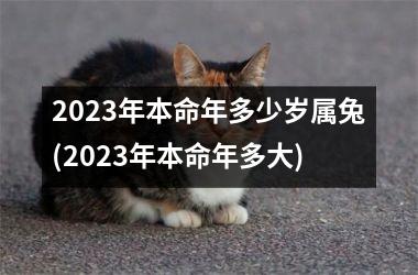 <h3>2025年本命年多少岁属兔(2025年本命年多大)