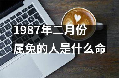 1987年二月份属兔的人是什么命