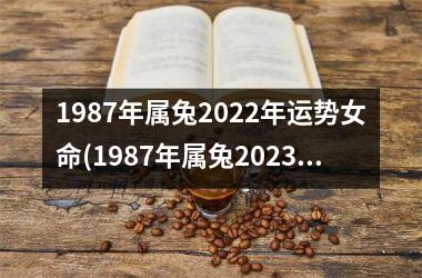 1987年属兔2025年运势女命(1987年属兔2025年运势及运程)
