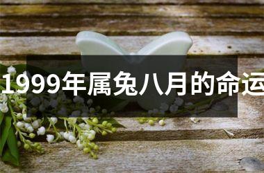 1999年属兔八月的命运