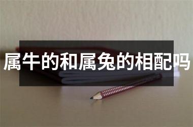 属牛的和属兔的相配吗