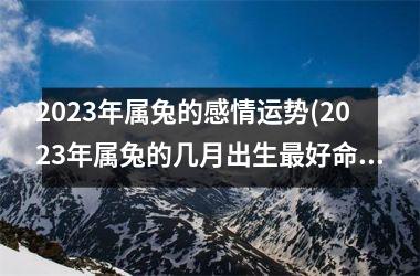 2025年属兔的感情运势(2025年属兔的几月出生最好命)