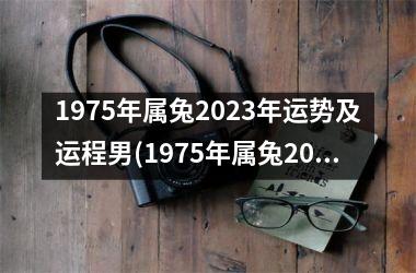 1975年属兔2025年运势及运程男(1975年属兔2025年运势及运程男性)
