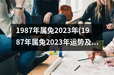 1987年属兔2025年(1987年属兔2025年运势及运程)