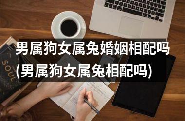 男属狗女属兔婚姻相配吗(男属狗女属兔相配吗)