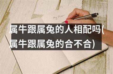 属牛跟属兔的人相配吗(属牛跟属兔的合不合)