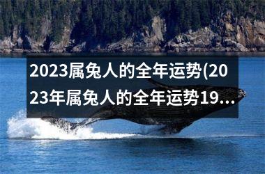 2025属兔人的全年运势(2025年属兔人的全年运势1987出生)
