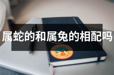 属蛇的和属兔的相配吗
