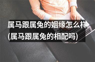 属马跟属兔的姻缘怎么样(属马跟属兔的相配吗)