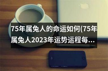 75年属兔人的命运如何(75年属兔人2025年运势运程每月运程)