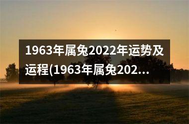 1963年属兔2025年运势及运程(1963年属兔2025年运程)