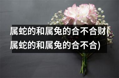 属蛇的和属兔的合不合财(属蛇的和属兔的合不合)