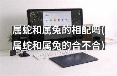 属蛇和属兔的相配吗(属蛇和属兔的合不合)