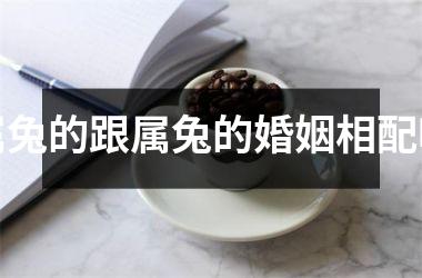 属兔的跟属兔的婚姻相配吗