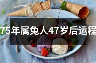 75年属兔人47岁后运程