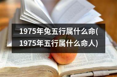 1975年兔五行属什么命(1975年五行属什么命人)