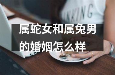 属蛇女和属兔男的婚姻怎么样