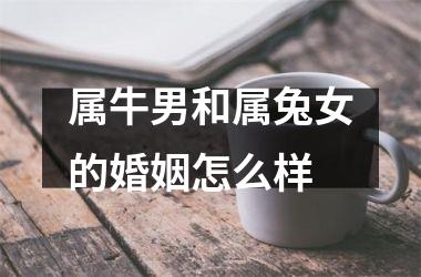 属牛男和属兔女的婚姻怎么样