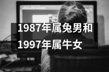 1987年属兔男和1997年属牛女