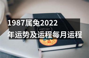 1987属兔2025年运势及运程每月运程