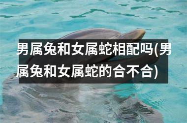 男属兔和女属蛇相配吗(男属兔和女属蛇的合不合)