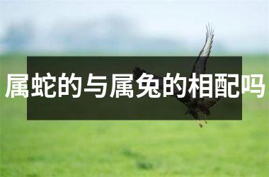 属蛇的与属兔的相配吗